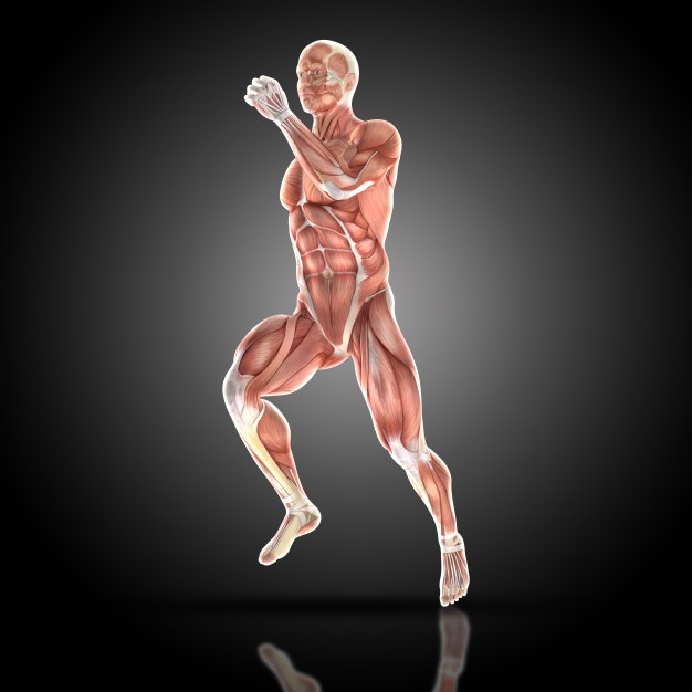 4 exercices pour des jambes toniques : Fesses et Quadriceps.